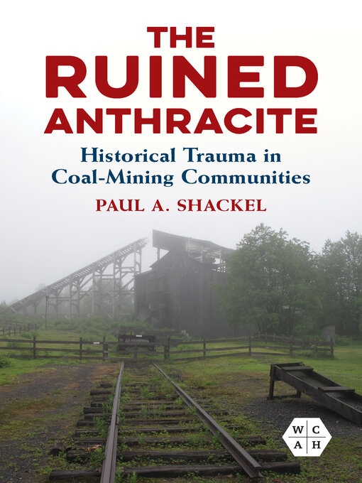 Cover image for The Ruined Anthracite